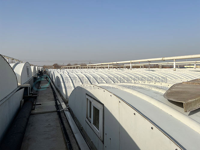 碳源在汙水處(chù)理中(zhōng)的作用